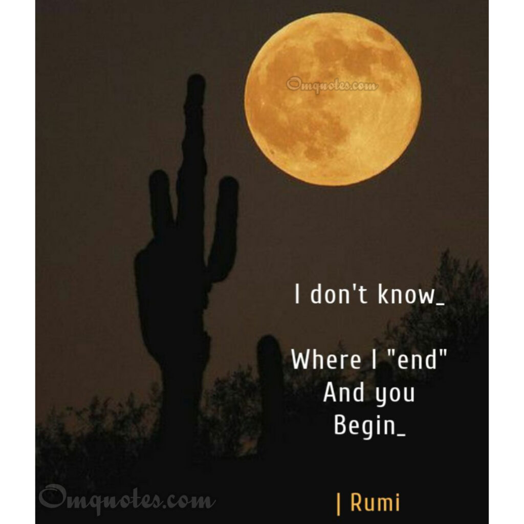 Rumi quotes