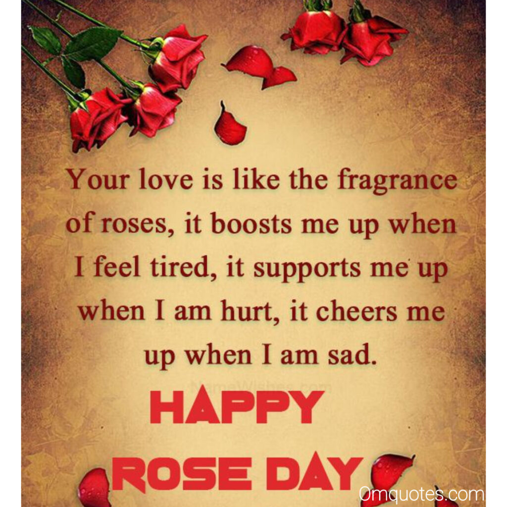 Rose day 
