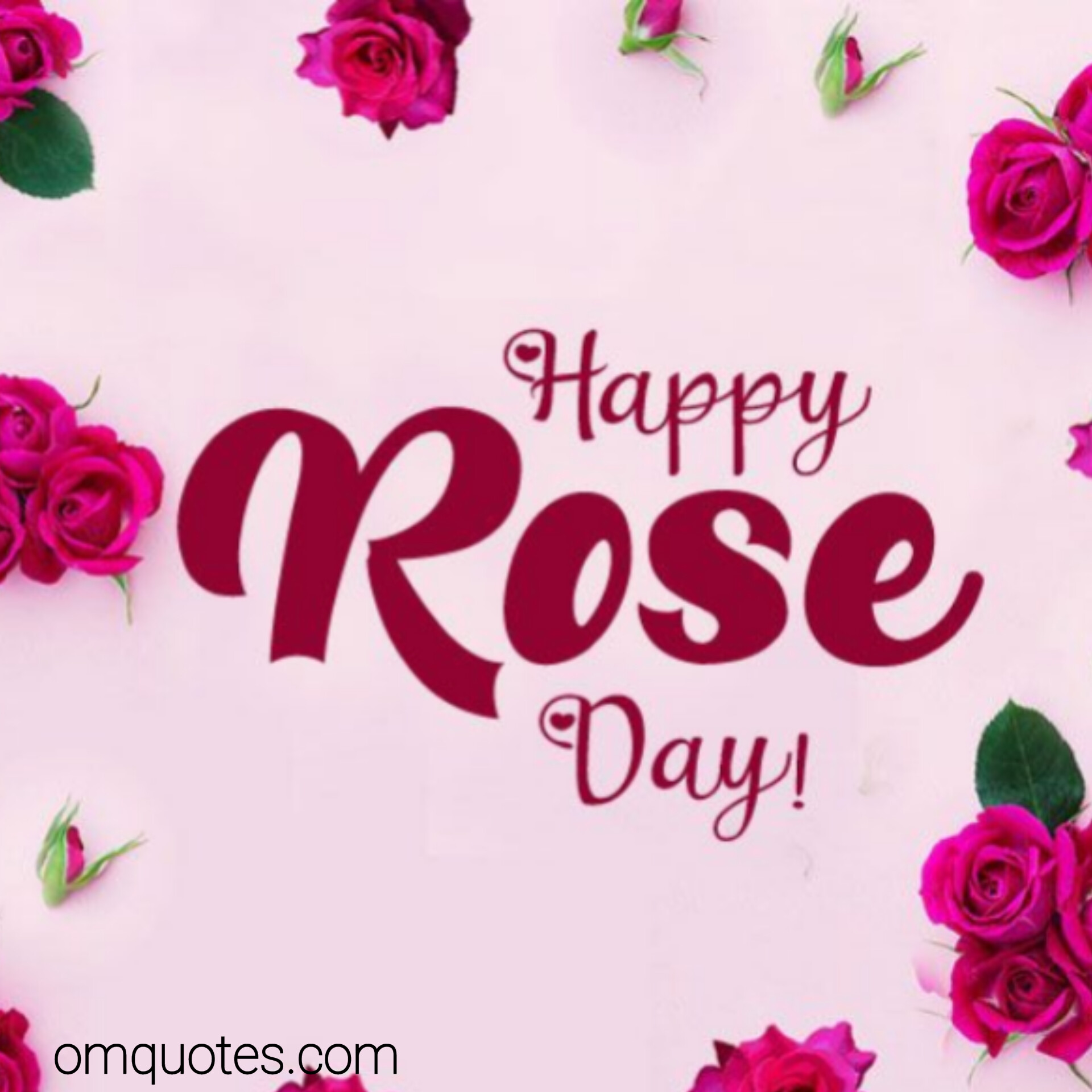 Rose day