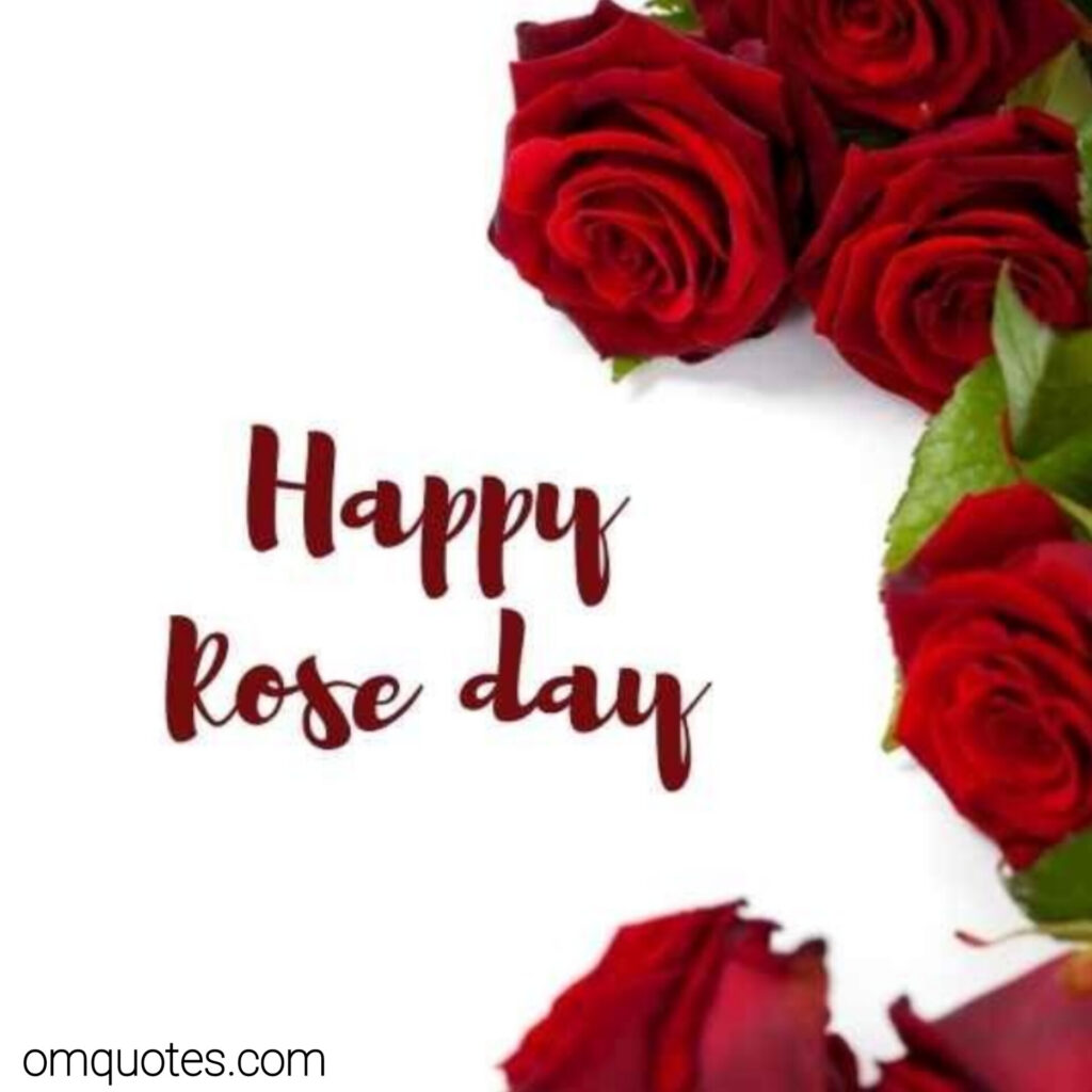 Rose day