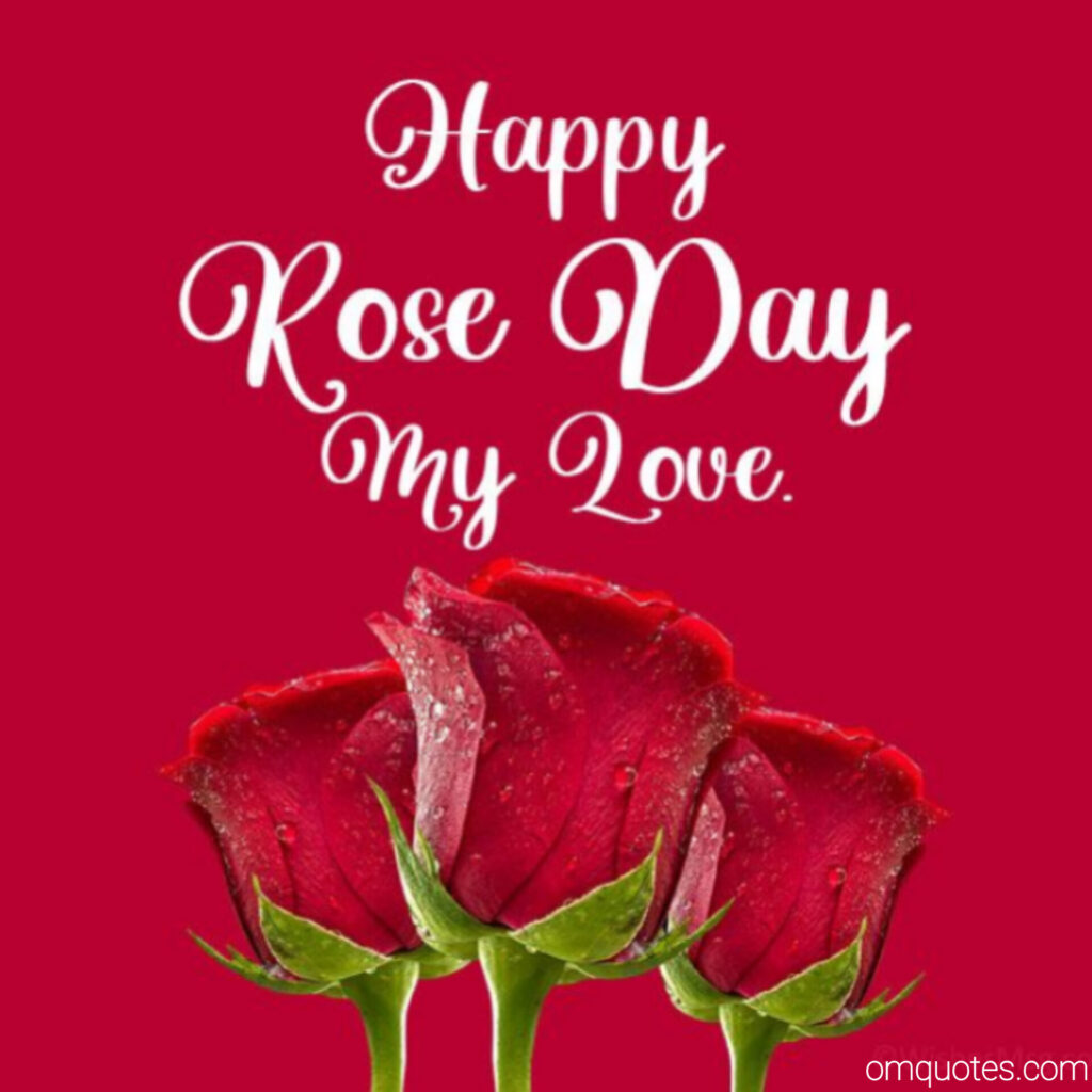 Rose day quotes 
