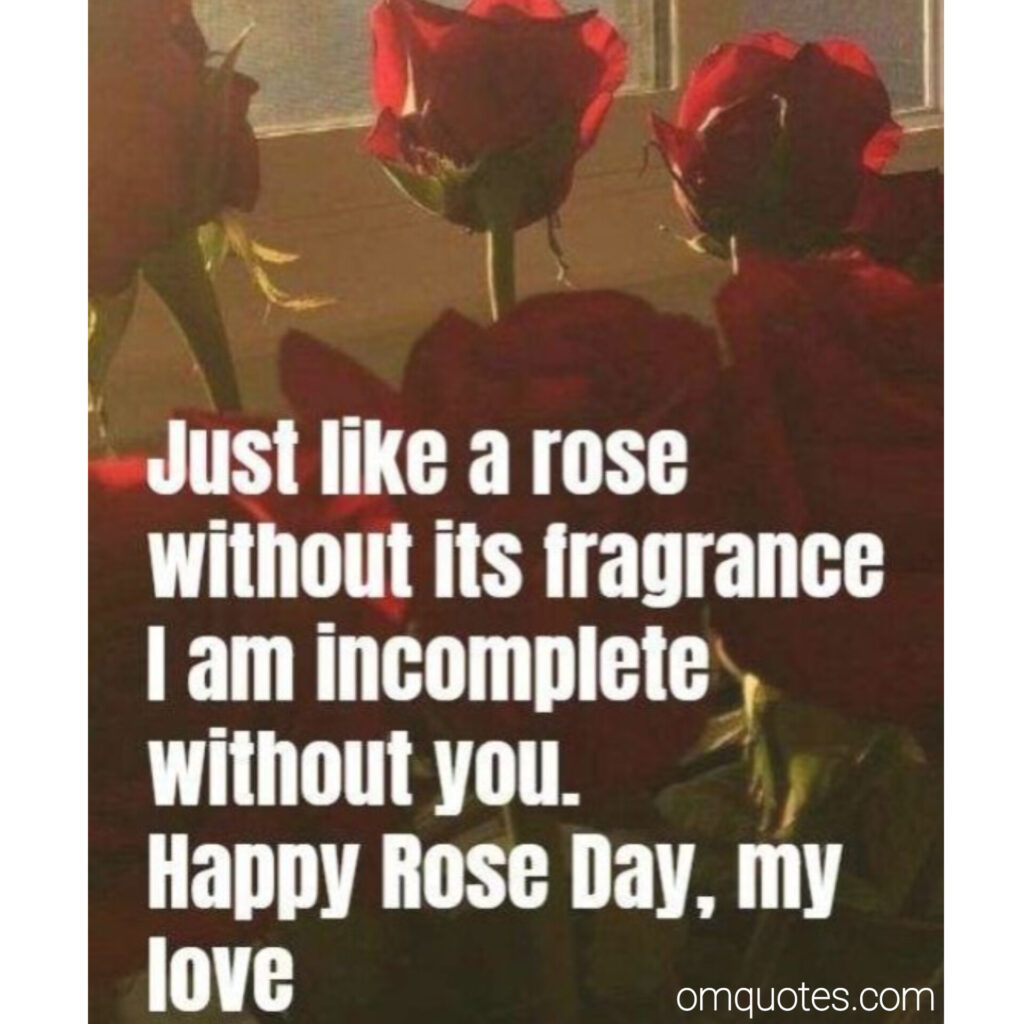 happy Rose day 
