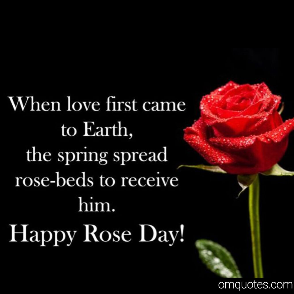 Happy Rose day 
