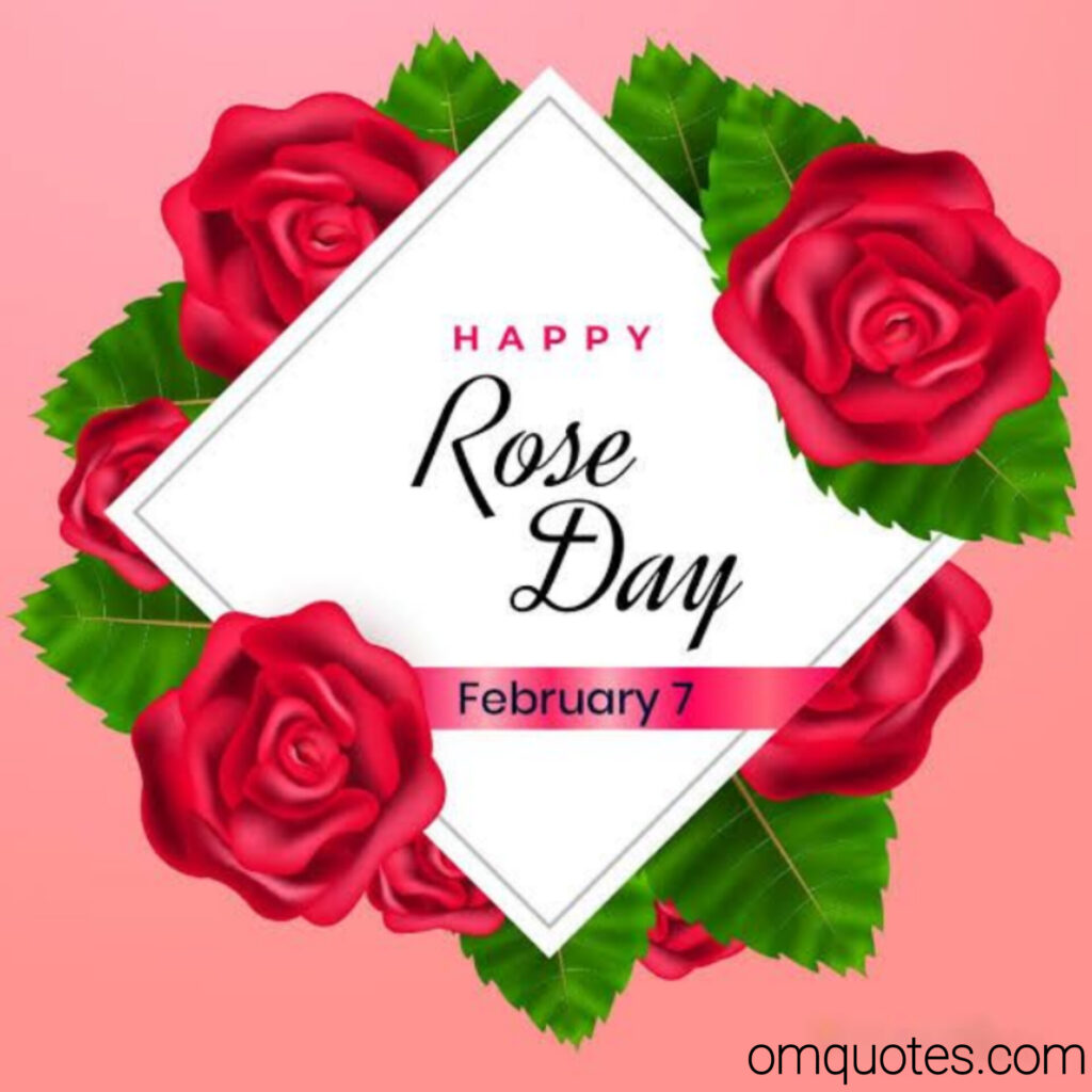 happy rose day
